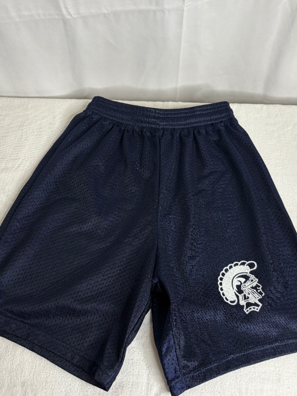 Vintage Alleson Athletic Youth Mesh Shorts L Trogan Logo Gym Workout School Y2K